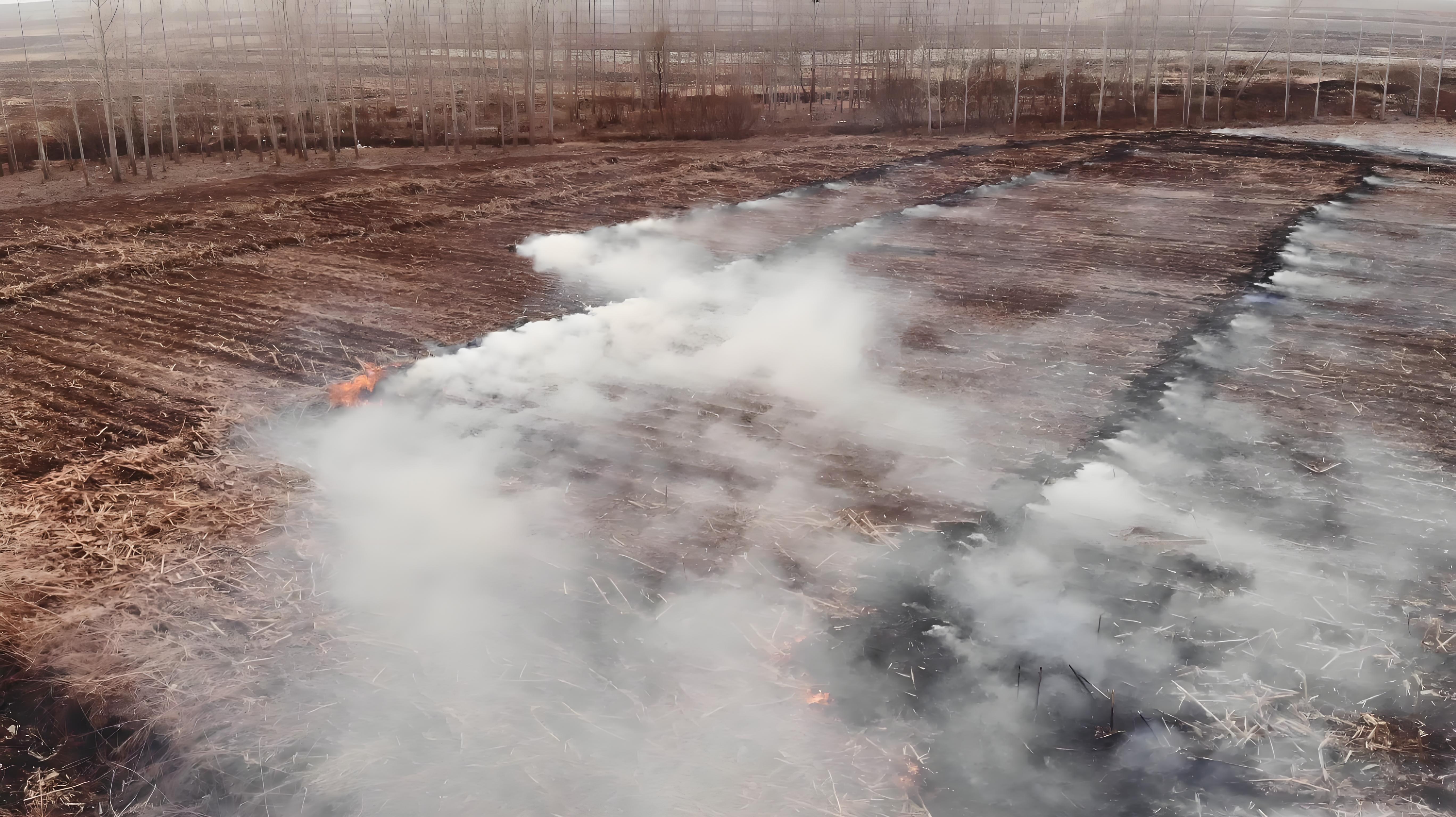 基于遥感卫星监测农村秸秆焚烧的价值 基于遥感卫星监测农村秸秆焚烧的价值(图1)